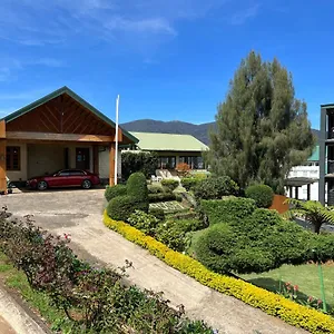 Tea Bush Nuwara Eliya