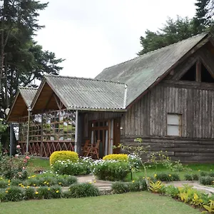 Calamander Gregory Nuwara Eliya